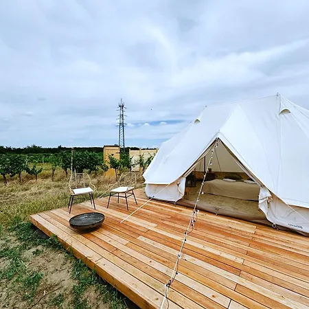 Mezi Vinicemi Glamp *
