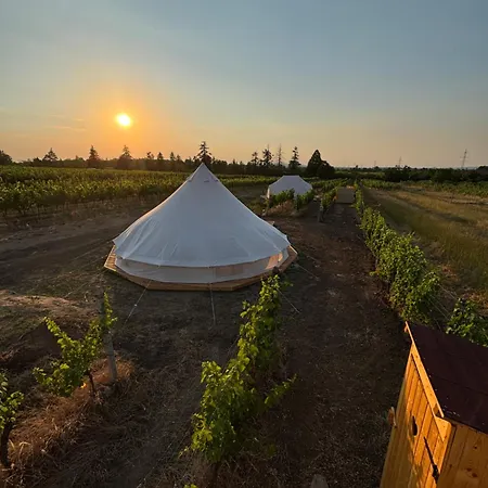 Mezi Vinicemi Glamp Luxussátor