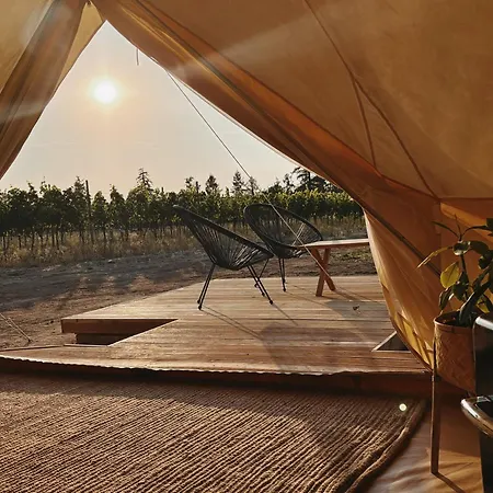 Mezi Vinicemi Glamp *