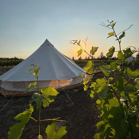 Mezi Vinicemi Glamp * Valtice