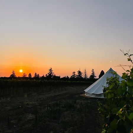 Mezi Vinicemi Glamp Luxussátor