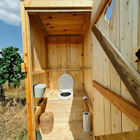 Mezi Vinicemi Glamp *
