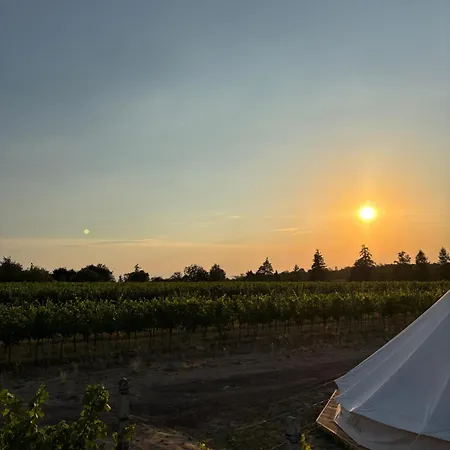 Luxussátor Mezi Vinicemi Glamp