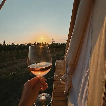 Mezi Vinicemi Glamp